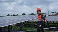 Transisi Energi Terbarukan: Tantangan Keadilan dan Pelestarian Kearifan Lokal di Indonesia