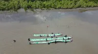 Pesisir Lantebung-Untia Terancam Reklamasi, Warga dan Komunitas Perkuat Perlawanan Lewat Penanaman Mangrove