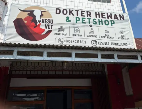 Satu Tempat untuk Semua Kebutuhan Anabul: Kesu Vet Hadir Lengkap di Jantung Toraja Utara