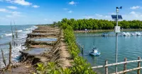 Ancaman Abrasi Pesisir, BRIN dan Universitas Pancasakti Padukan Mangrove-IoT untuk Selamatkan Tambak di Brebes