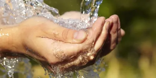 Mertani Water Quality Monitoring System: Solusi Inovatif untuk Menjaga Kualitas Air