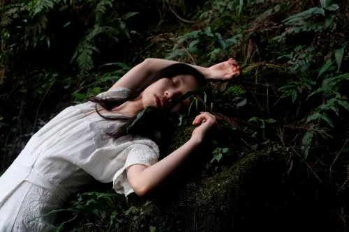 Menyelami Forest Bathing: Terapi Alam untuk Jiwa dan Raga