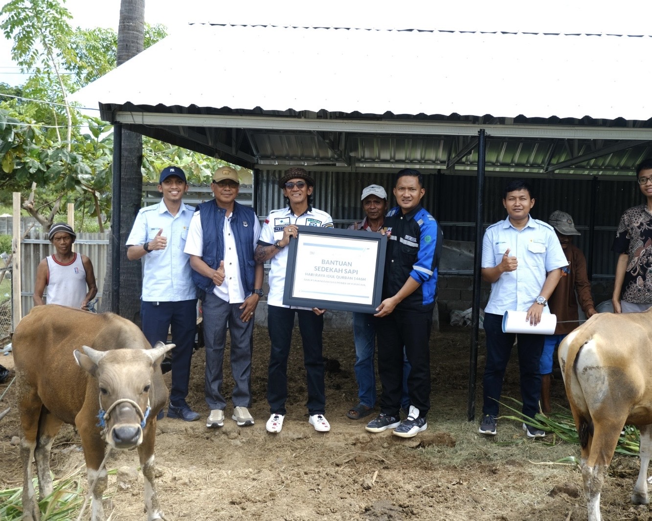 PLN Nusantara Power UP Punagaya Distribusikan Hewan Kurban untuk Warga Kurang Mampu