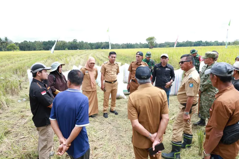 Panen Raya di Bontoharu, Bupati Andi Utta Tekankan Pentingnya Ketahanan Pangan dan Modernisasi Pertanian